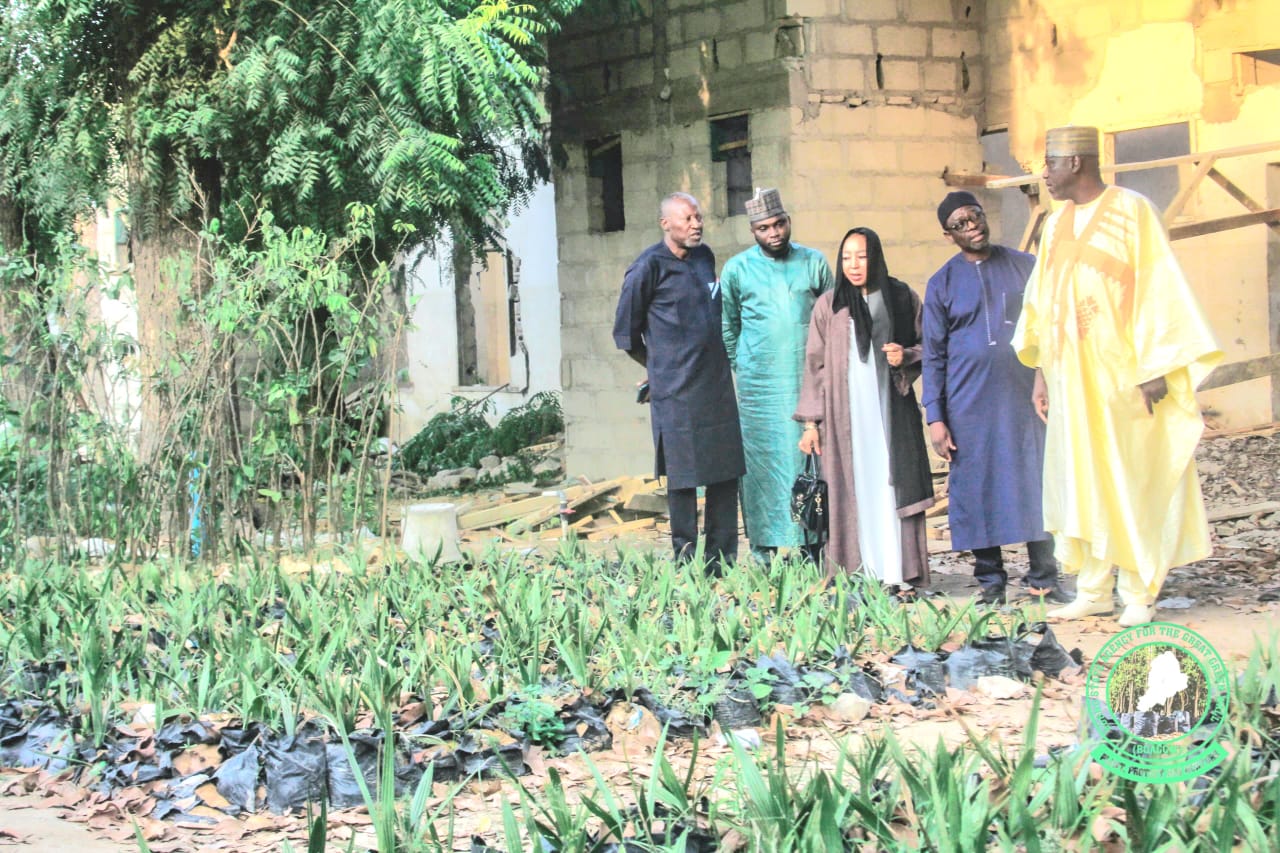 Knowledge Exchange Visit at Borno State Great Green Wall Agency, Maiduguri 2025 — photo 4