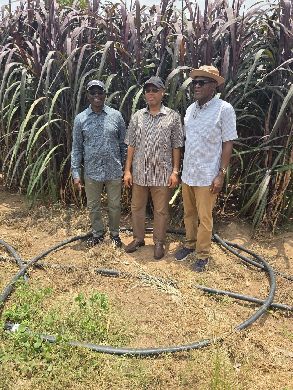 Regenerative Agriculture, Carbon Sequestration, and Livelihood Program — photo 5