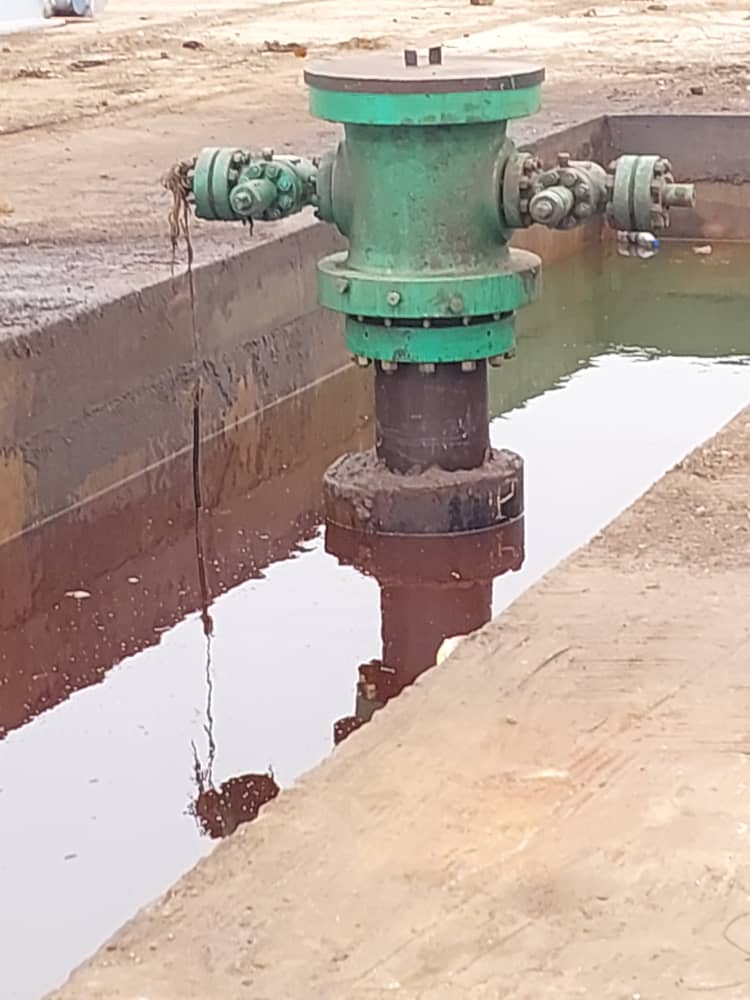 Feasibility Study of Gas-based Fertilizer and Methanol Plant — photo 2