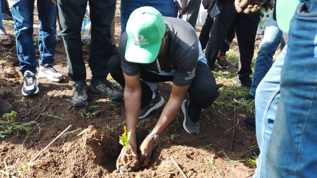 Plateau State's One-million Trees Program — photo 2