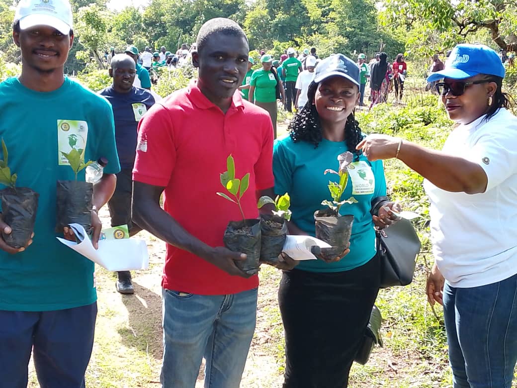 Plateau State's One-million Trees Program — photo 3