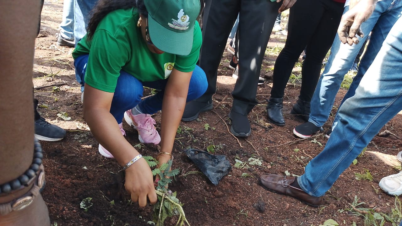 Plateau State's One-million Trees Program — photo 4