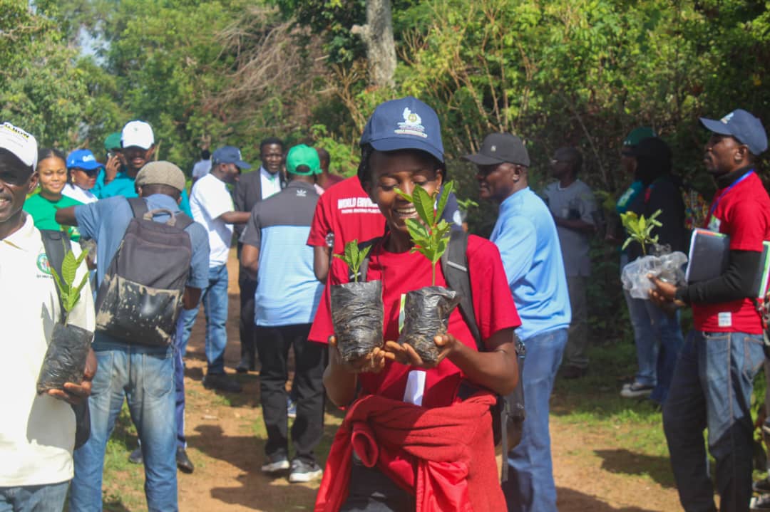 Plateau State's One-million Trees Program — photo 5