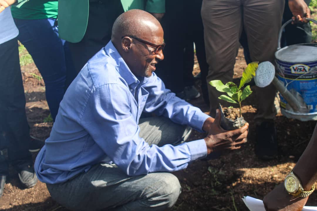 Plateau State's One-million Trees Program — photo 6