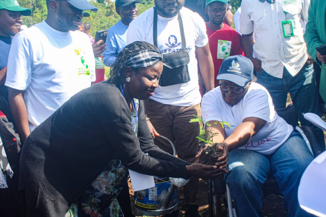 Plateau State's One-million Trees Program — photo 7