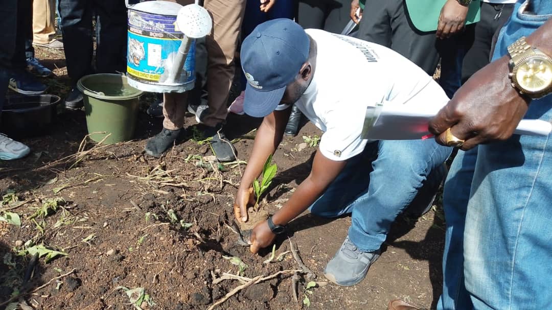 Plateau State's One-million Trees Program — photo 8